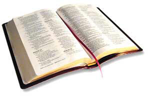 The Bible The Bible